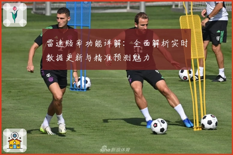 雷速赔率功能详解：全面解析实时数据更新与精准预测魅力